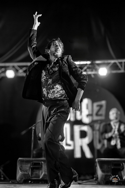 flamenco (72)